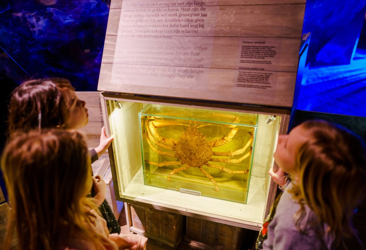 Kinderen bekijken reuzenkrab in het museum