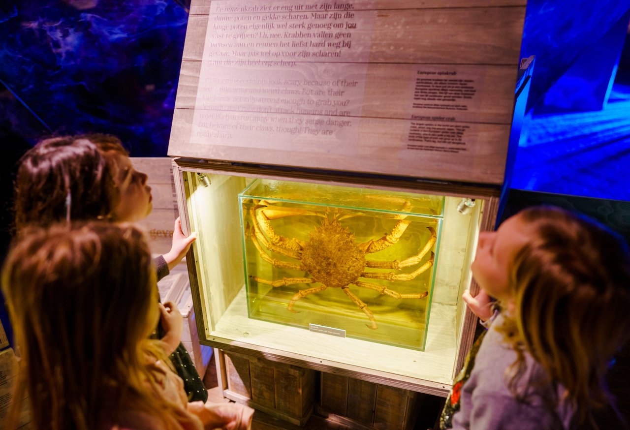 Kinderen bekijken reuzenkrab in het museum