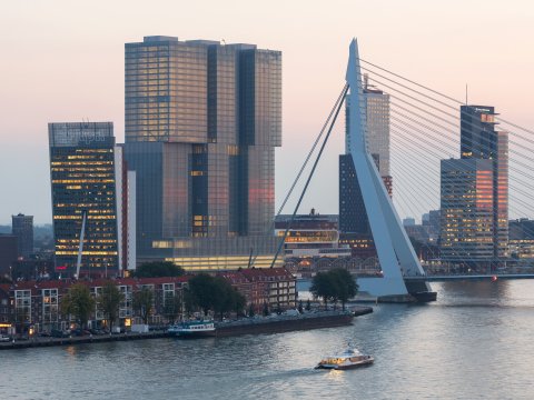 De haven in het centrum van Rotterdam
