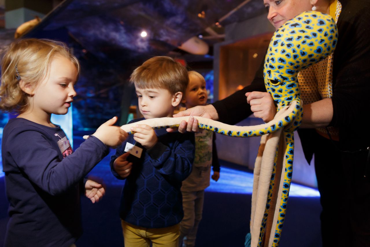 Kinderen leren meer over zeedieren