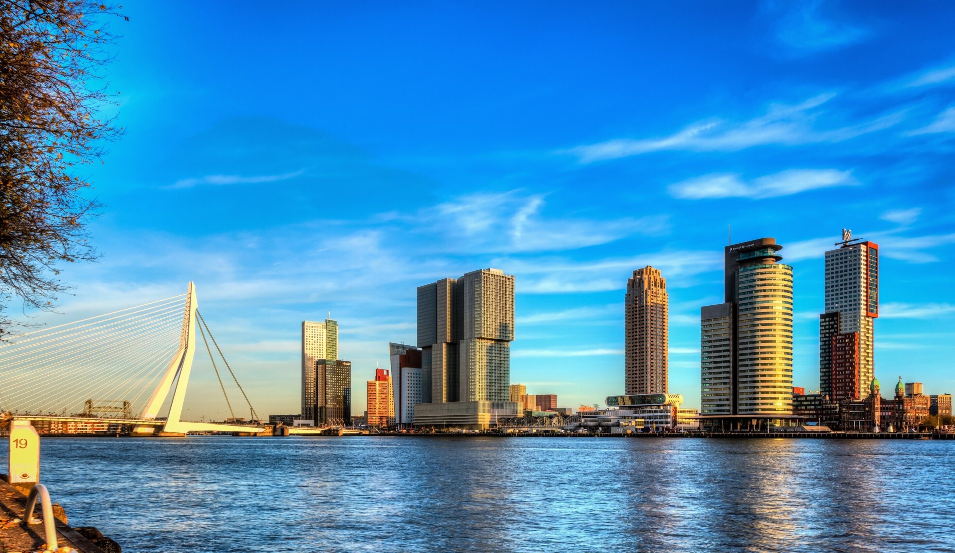 De haven in het ceentrum van Rotterdam